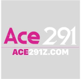 ace291zcom