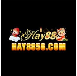 hay8856com