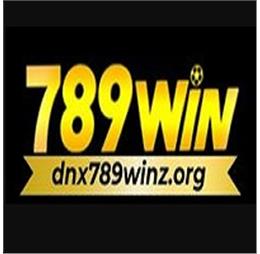 dnx789winorg