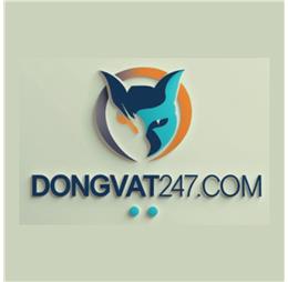 dongvat247com