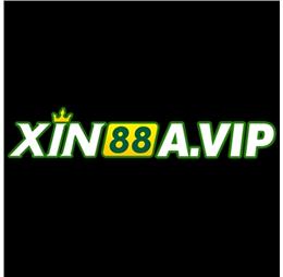 xin88avip