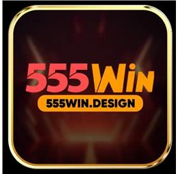555windesign