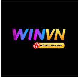 winvnsacom
