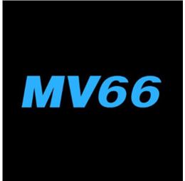 vmv66com