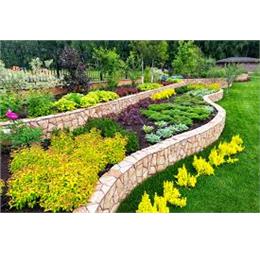 landscpeingse