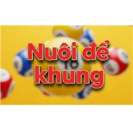 nuoidekhung