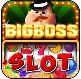 bigboss01fz