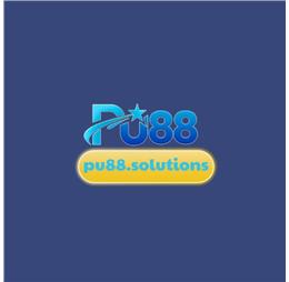 pu88solutions