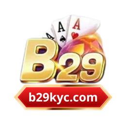 B29kyccom