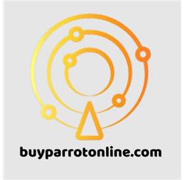 buyparrotonline
