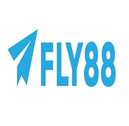 fly88netcom
