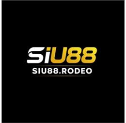 siu88rodeo1