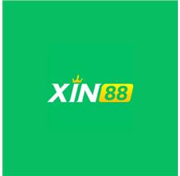 xin88boats1