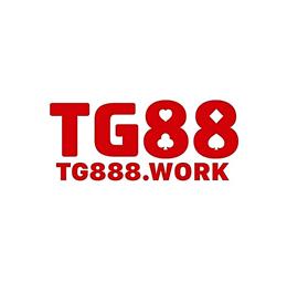 Tg888work1