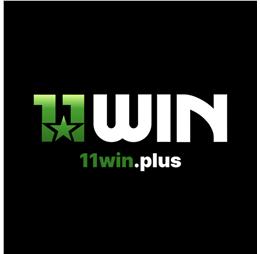 11winplus1