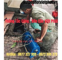 thongvietphatnl