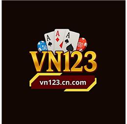 Vn123gg1