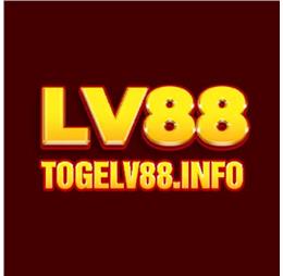 togelv88info