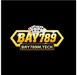 Bay789mtech