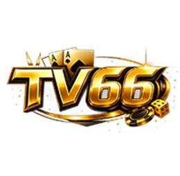 tv66itcom