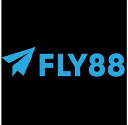 fly888snet