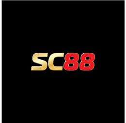 sc88vicom1