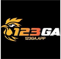 123gaapp1
