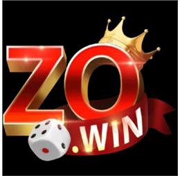 zowincocom1