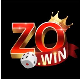 zowincomco1