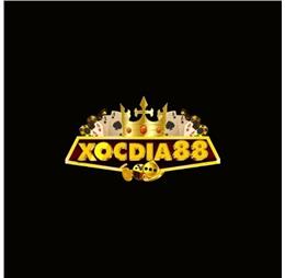 Xocdiadoithuong88co