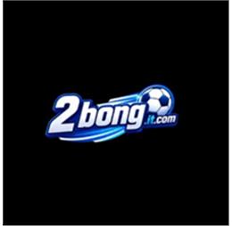 2bongitcom