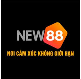 new882infovn