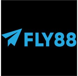 fly88webcam