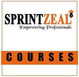 sprintzeal12