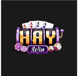 shaywincom