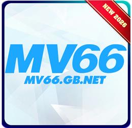 mv66gbnet1