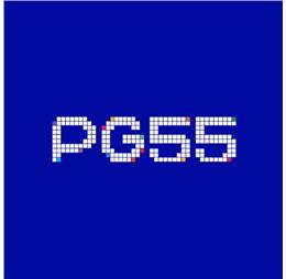 paypg555com