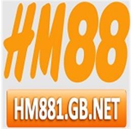 hm881gbnet