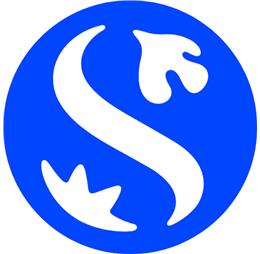 minhquang87
