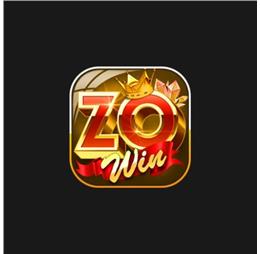 zowinwork