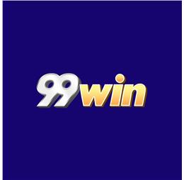 99winsi