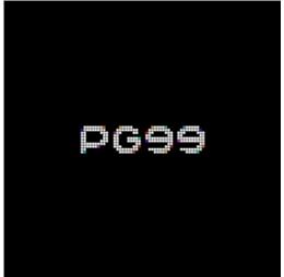 pg99gifts